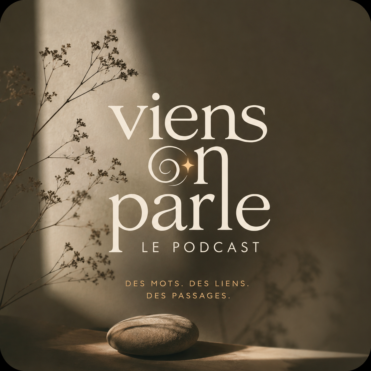 Couverture du podcast Viens On Parle